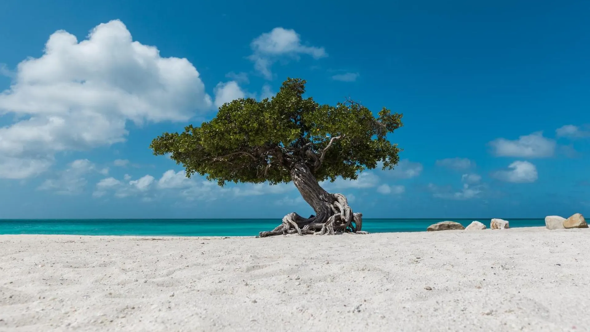 Arubas Life 300 Apartment Noord Aruba